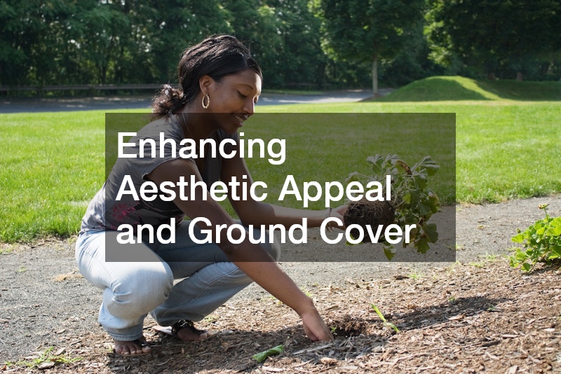 Enhancing Aesthetic Appeal and Ground Cover