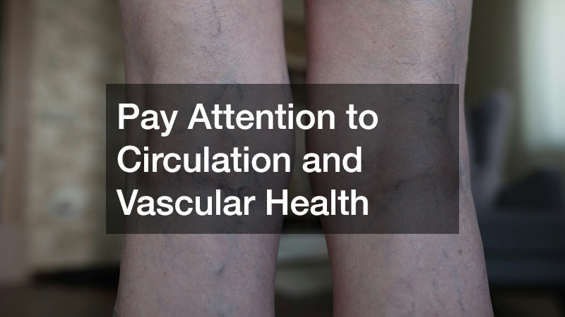Pay Attention to Circulation and Vascular Health