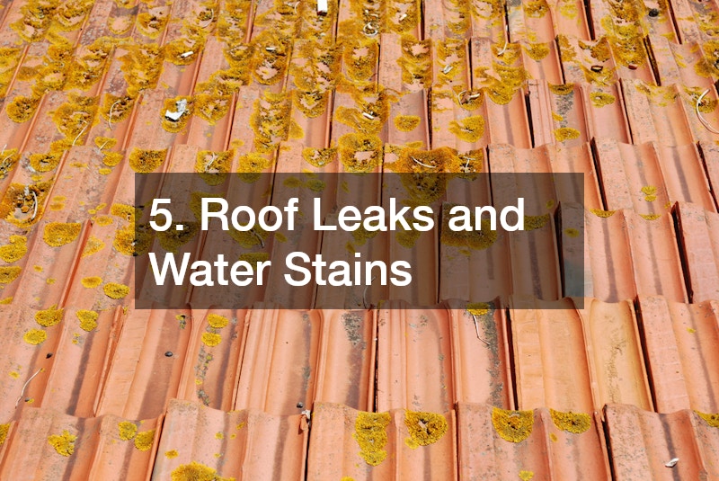 5. Roof Leaks and Water Stains
