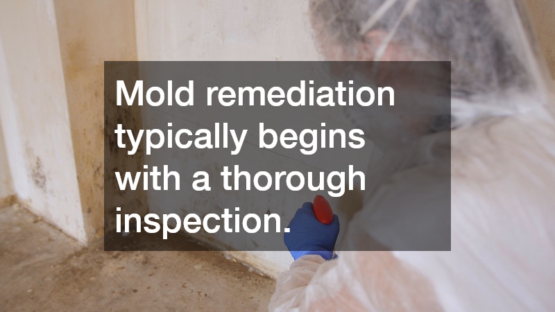 Mold remediation typically begins with a thorough inspection.