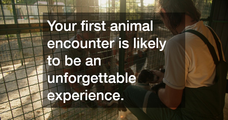 Your first animal encounter is likely to be an unforgettable experience.