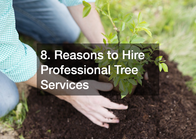 8. Reasons to Hire Professional Tree Services