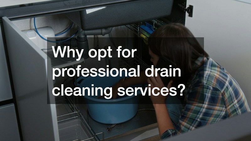 Why opt for professional drain cleaning services?