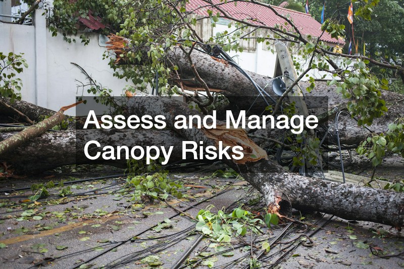Assess and Manage Canopy Risks