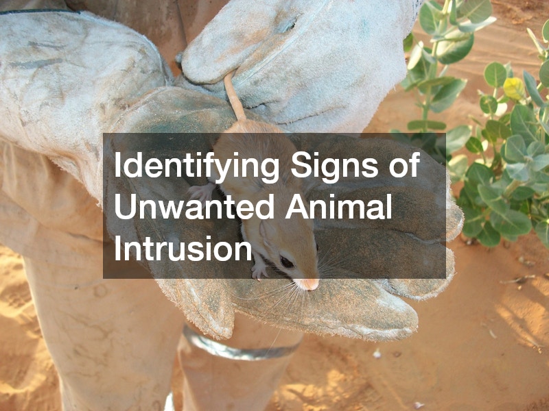 Identifying Signs of Unwanted Animal Intrusion