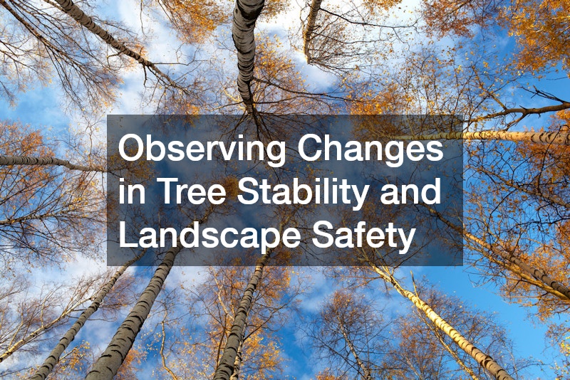 Observing Changes in Tree Stability and Landscape Safety