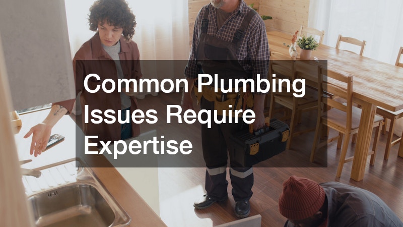 Common Plumbing Issues Require Expertise