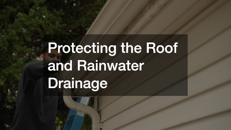 Protecting the Roof and Rainwater Drainage