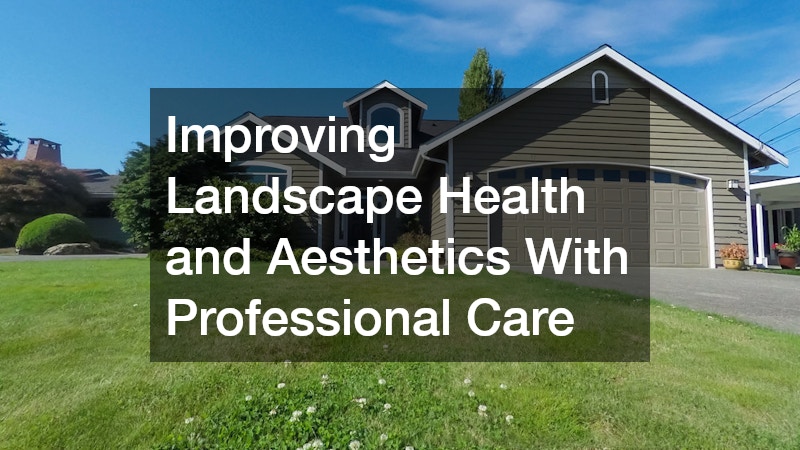 Improving Landscape Health and Aesthetics With Professional Care