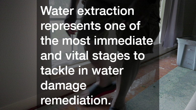 Water extraction represents one of the most immediate and vital stages to tackle in water damage remediation.