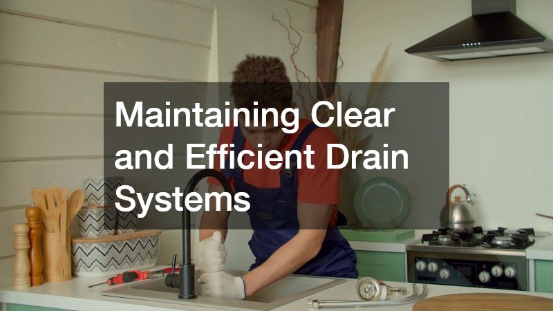Maintaining Clear and Efficient Drain Systems