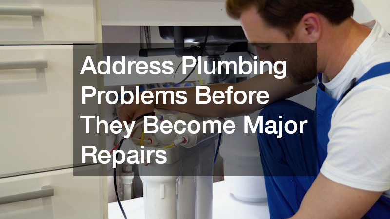 Address Plumbing Problems Before They Become Major Repairs