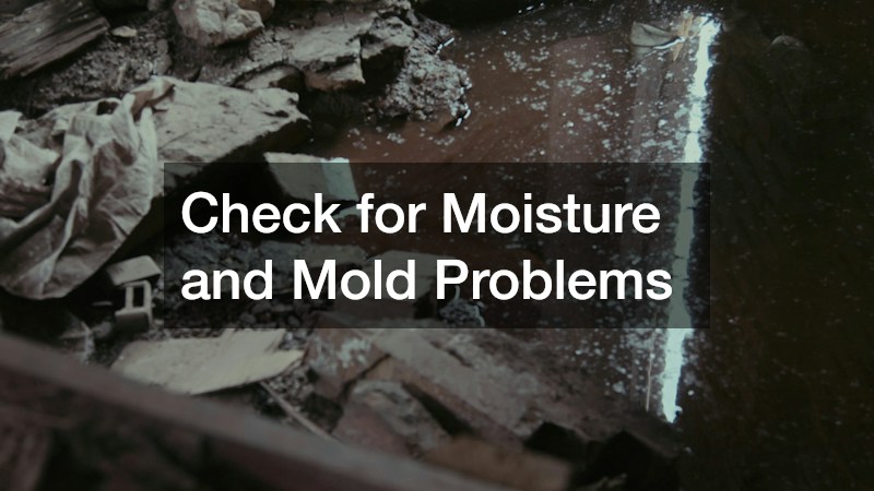 Check for Moisture and Mold Problems