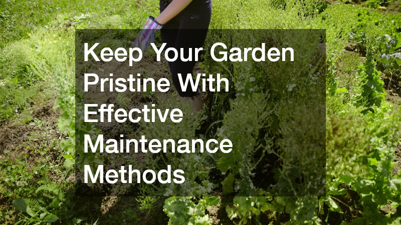Keep Your Garden Pristine With Effective Maintenance Methods