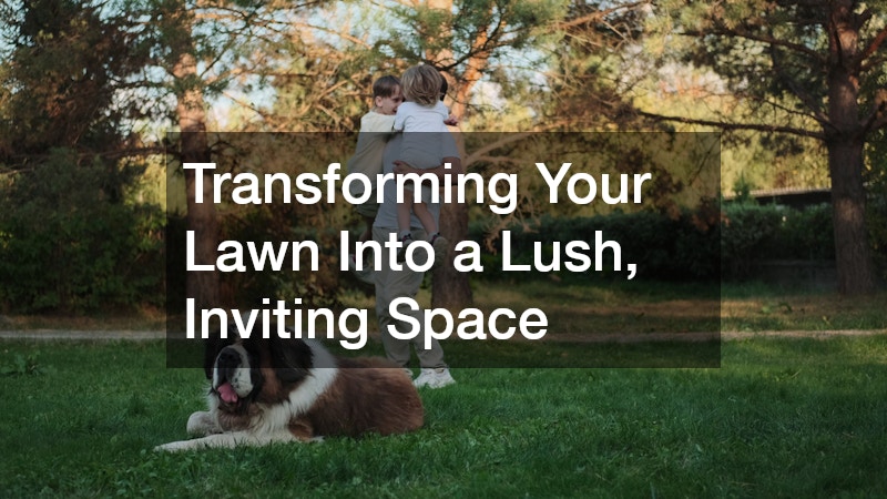Transforming Your Lawn Into a Lush, Inviting Space
