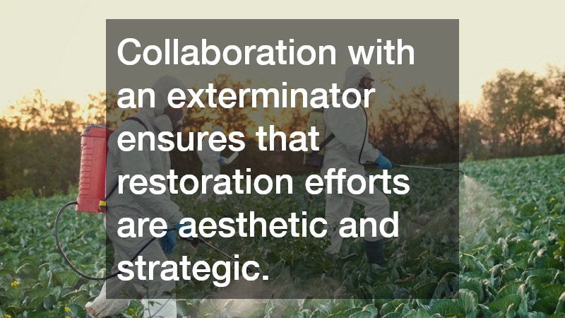 Collaboration with an exterminator ensures that restoration efforts are aesthetic and strategic.