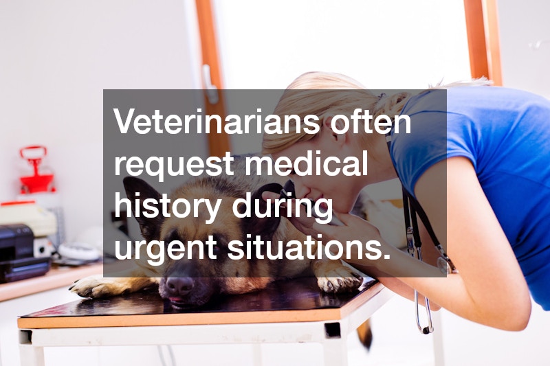 Veterinarians often request medical history during urgent situations.