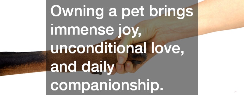 Owning a pet brings immense joy, unconditional love, and daily companionship.