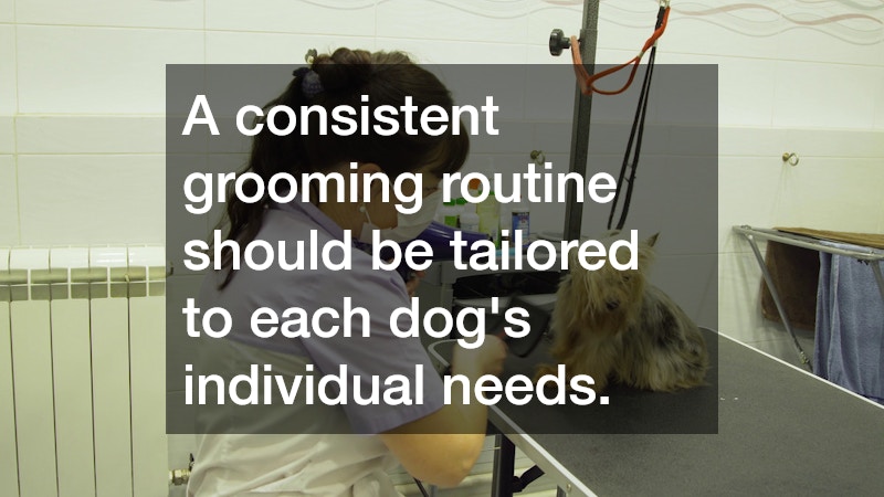 A consistent grooming routine should be tailored to each dog’s individual needs.