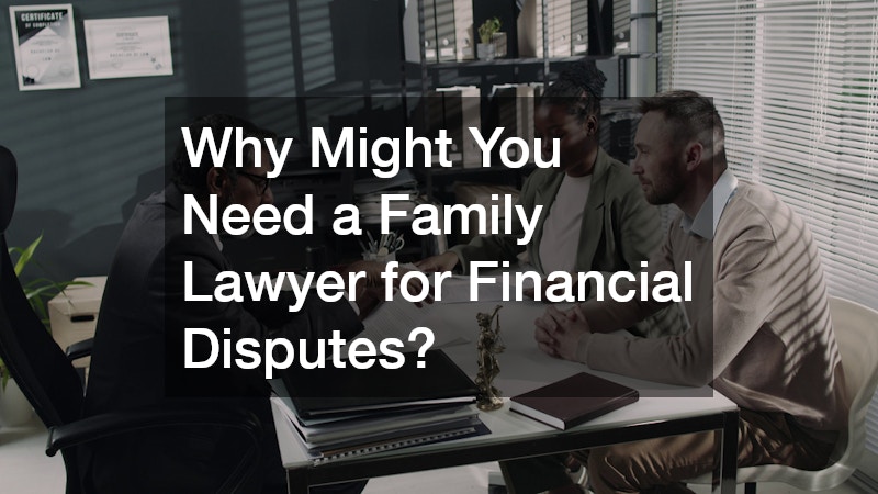 Why Might You Need a Family Lawyer for Financial Disputes?