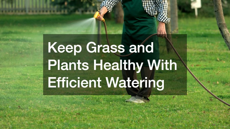 Keep Grass and Plants Healthy With Efficient Watering