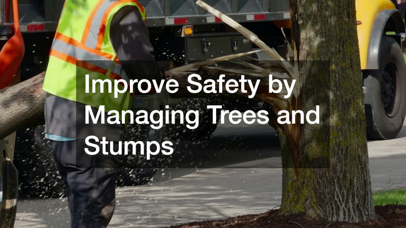 Improve Safety by Managing Trees and Stumps