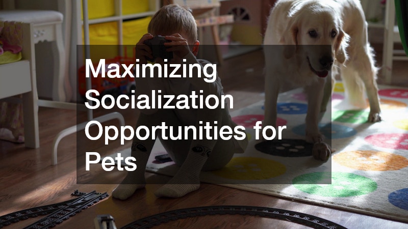 Maximizing Socialization Opportunities for Pets