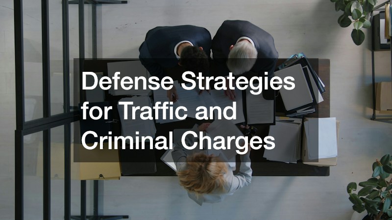 Defense Strategies for Traffic and Criminal Charges