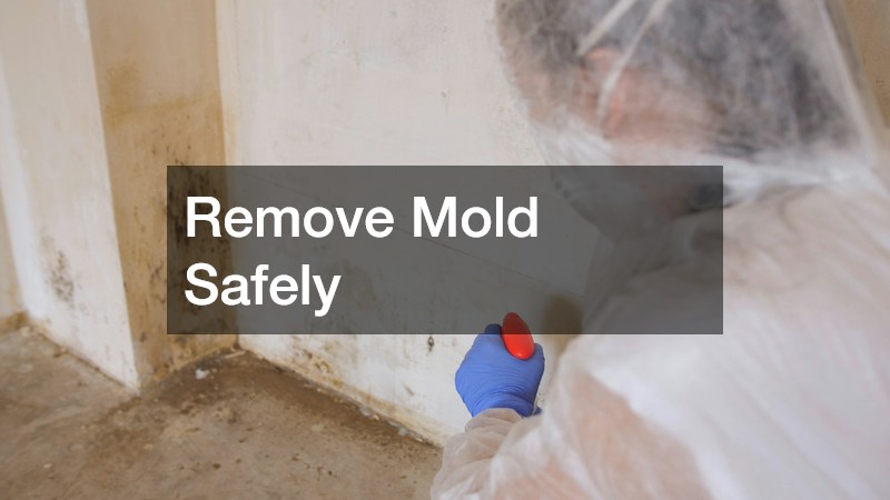 Remove Mold Safely