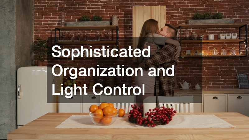 Sophisticated Organization and Light Control
