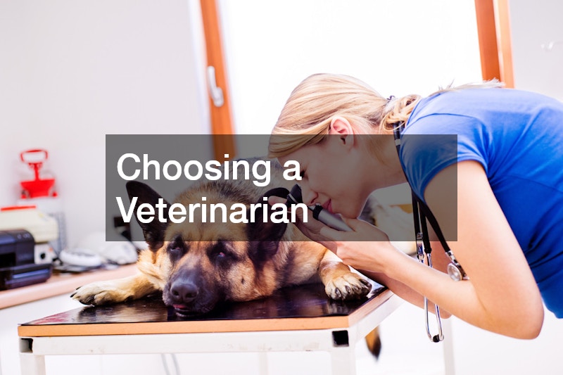 Choosing a Veterinarian