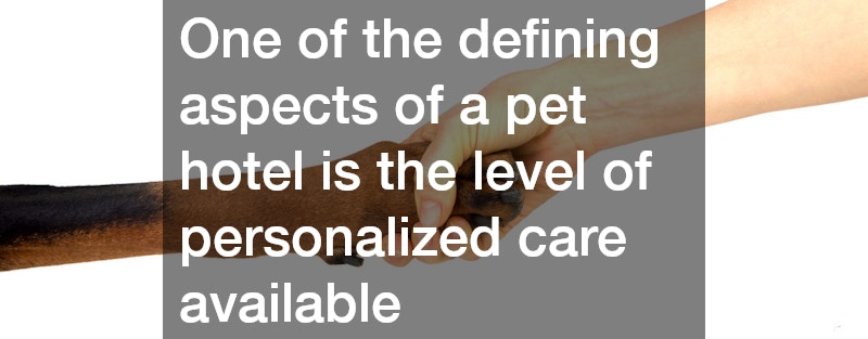 One of the defining aspects of a pet hotel is the level of personalized care available