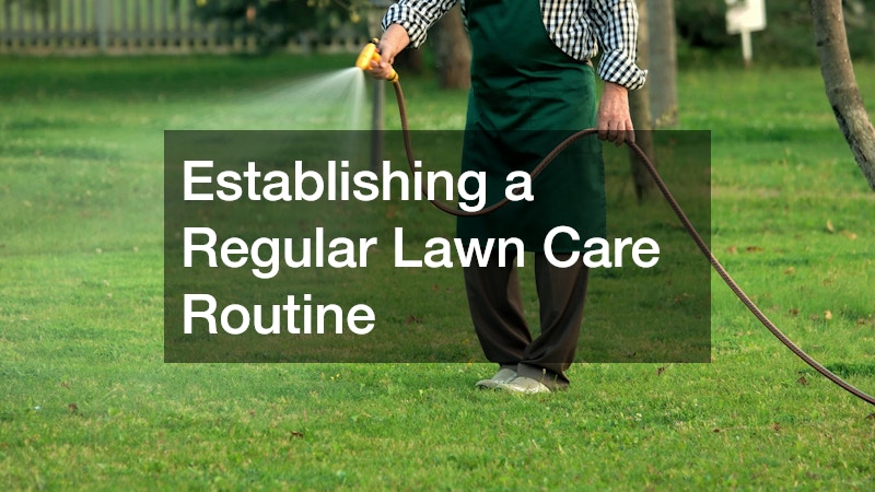 Establishing a Regular Lawn Care Routine