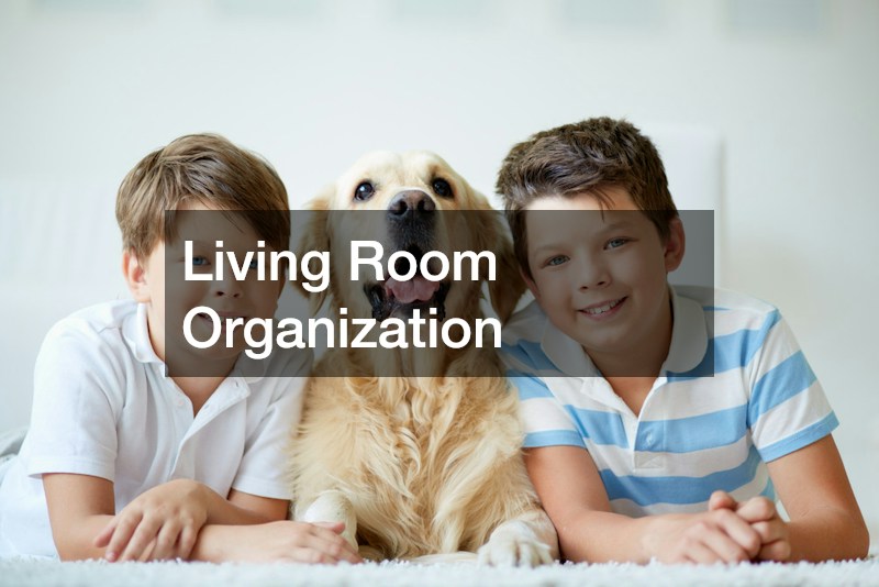 Living Room Organization