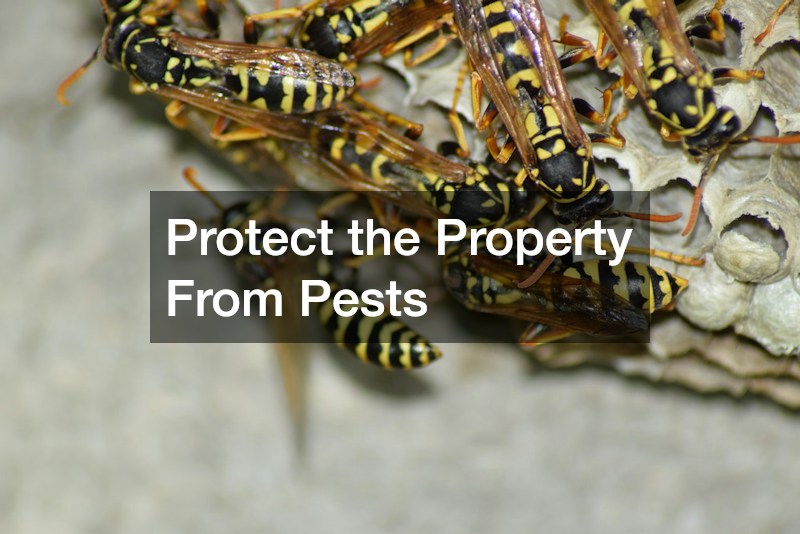 Protect the Property From Pests