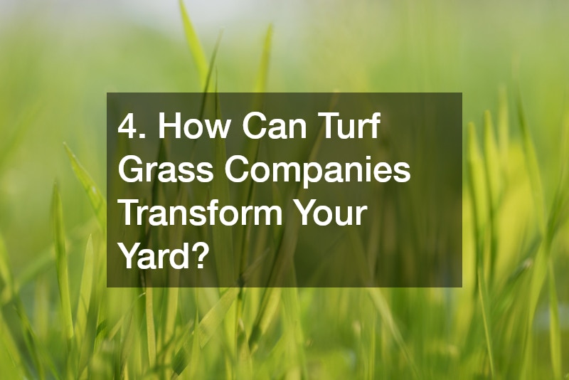 4. How Can Turf Grass Companies Transform Your Yard?