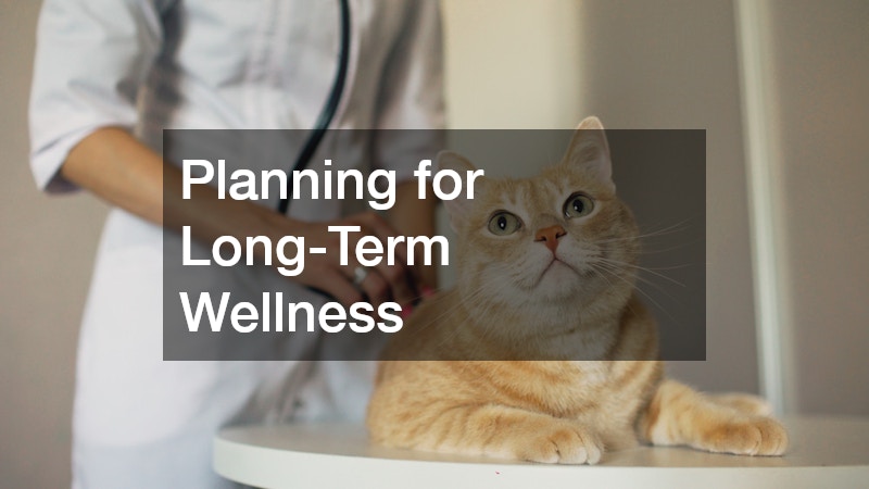 Planning for Long-Term Wellness