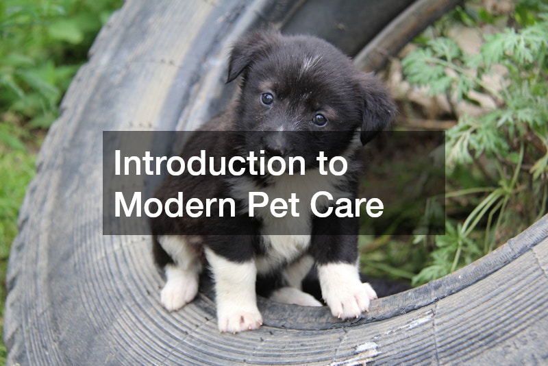 Introduction to Modern Pet Care