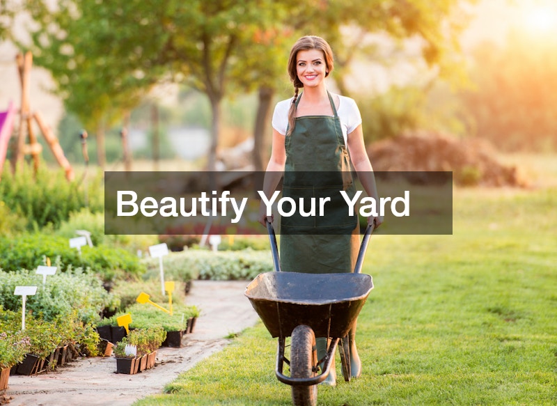 Beautify Your Yard