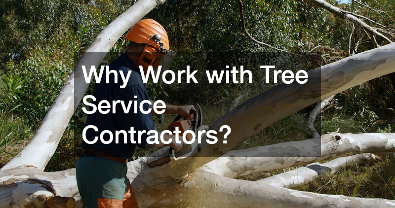 Why Work with Tree Service Contractors?