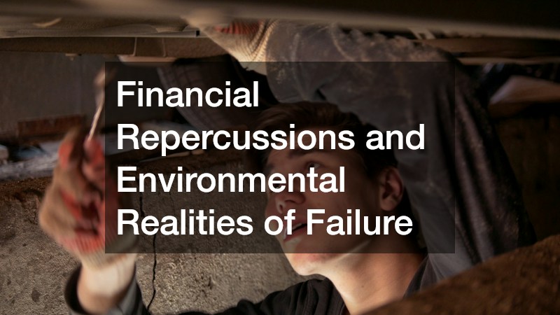 Financial Repercussions and Environmental Realities of Failure
