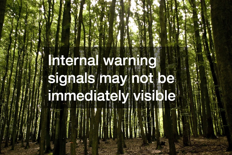 Internal warning signals may not be immediately visible
