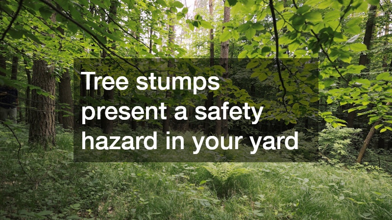 Tree stumps present a safety hazard in your yard