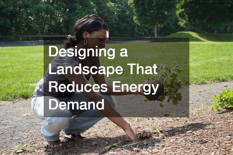 Designing a Landscape That Reduces Energy Demand