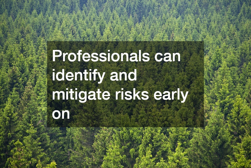 Professionals can identify and mitigate risks early on