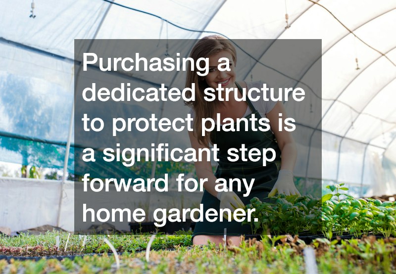 Purchasing a dedicated structure to protect plants is a significant step forward for any home gardener.