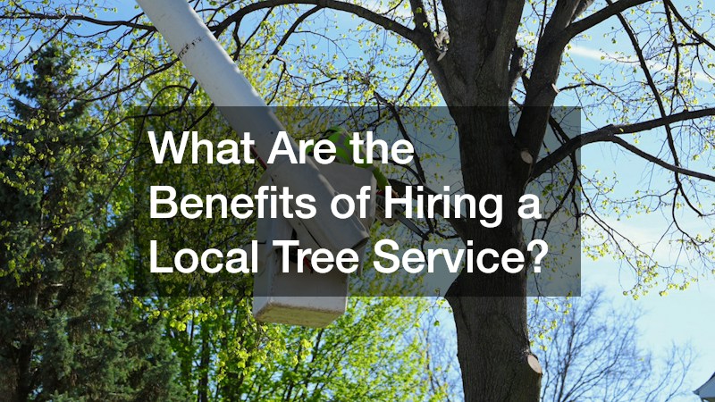 What Are the Benefits of Hiring a Local Tree Service?