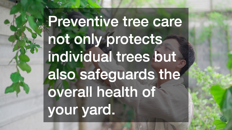 Preventive tree care not only protects individual trees but also safeguards the overall health of your yard.