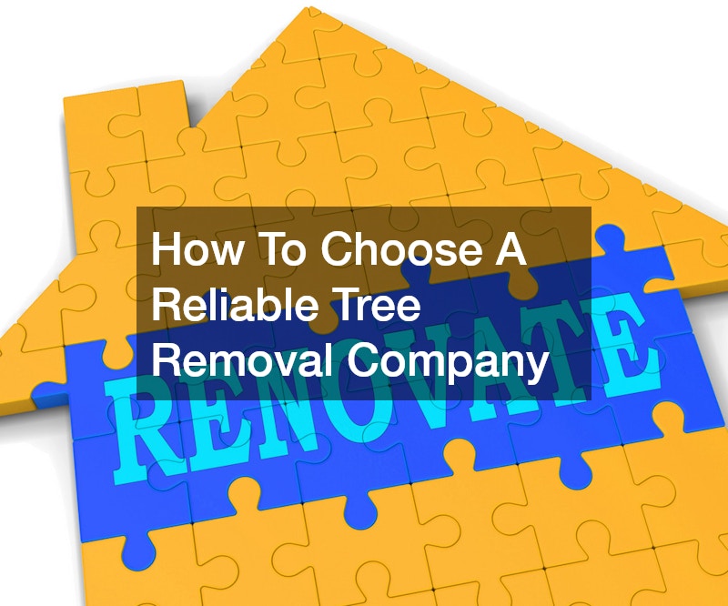 How To Choose A Reliable Tree Removal Company