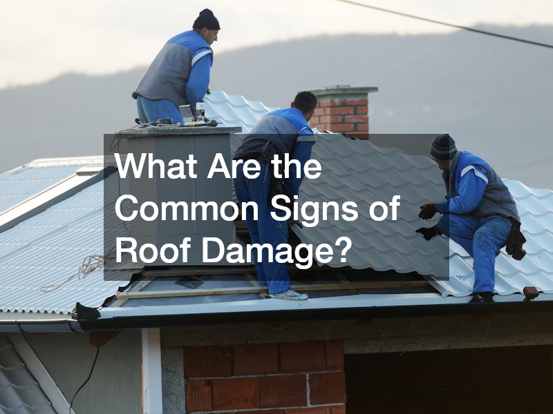 What Are the Common Signs of Roof Damage?